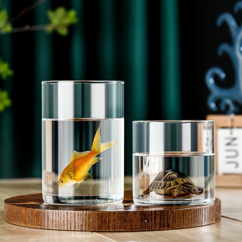 เดือน* แก้วกระบอกแจกันแก้วใสแจกันดอกไม้สําหรับจัดเส้นผ่านศูนย์กลาง 2 56 - รูปที่ 5