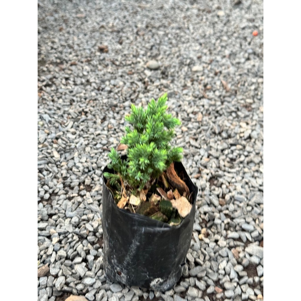 มุมมอง 3