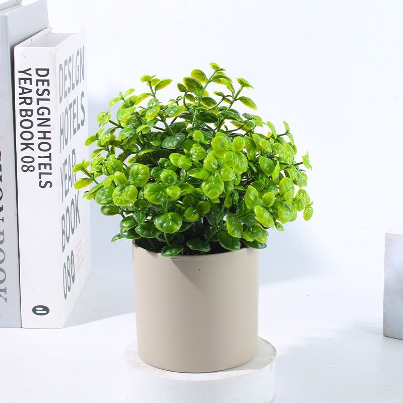 รูปภาพ 7