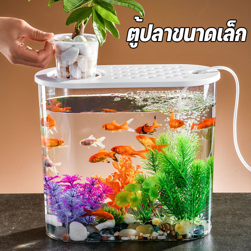ตู้ปลาเล็กพลาสติกใส เหมาะสำหรับปลากัด ปลาหางนกยูง ปลาทอง ตกแต่งง่าย ขนาดกะทัดรัด