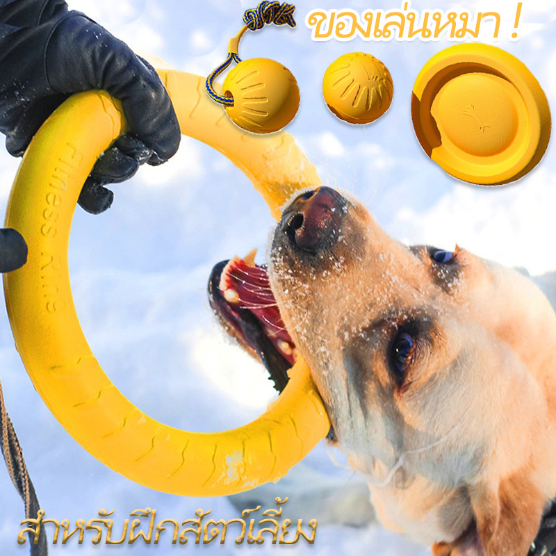 ของเล่นหมา DOG RING ห่วงยางกัดสุนัข จานร่อน ของเล่นลูกบอล แบบโต้ตอบ ความเหนียวสูง ทนทาน สําหรับฝึกสัตว์เลี้ยง
