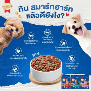 SmartHeart สมาร์ทฮาร์ท อาหารสุนัข กระสอบ 9-10kg สำหรับสุนัขโตพันธุ์ใหญ่ ทุกสายพันธุ์ อายุ 1 ปีขึ้นไป