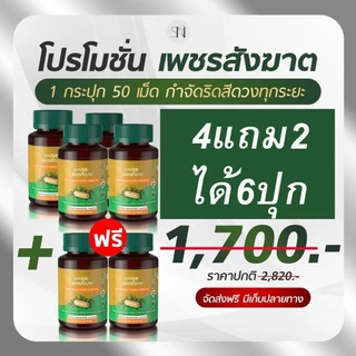 เพชรสังฆาต ริดสีดวงติ่งผลุบโผล่ 1 กระปุก มี 50 แคปซูล เพชรสังฆาต
