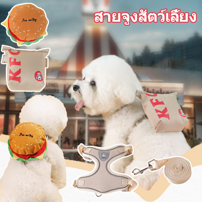 พร้อมส่ง สายจูงสัตว์เลี้ยง สายจูงแมวรัดอก จูงหมา สําหรับสัตว์เลี้ยง สุนัข แมว ขนาดเล็ก เสื้อจูงแมว