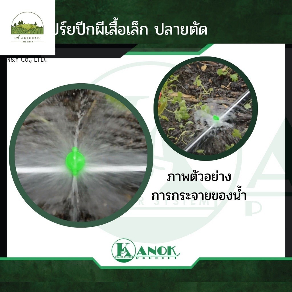 374-APE ไชโย มินิสปริงเกอร์หัวฉีดเปร์ยปีกผีเสื้อเล็ก รูปที่ 4