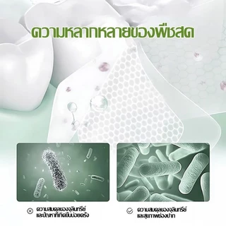 ฟันขาว 5 in 1รสสะระแหน่ ยาสีฟันสีเขียว 113g ลมหายใจสดชื่น ยาสีฟันสมุนไพร ยาสีฟันลดกลิ่นปาก มีฟลูออไรด์ป้องกันฟันผุ（1507）