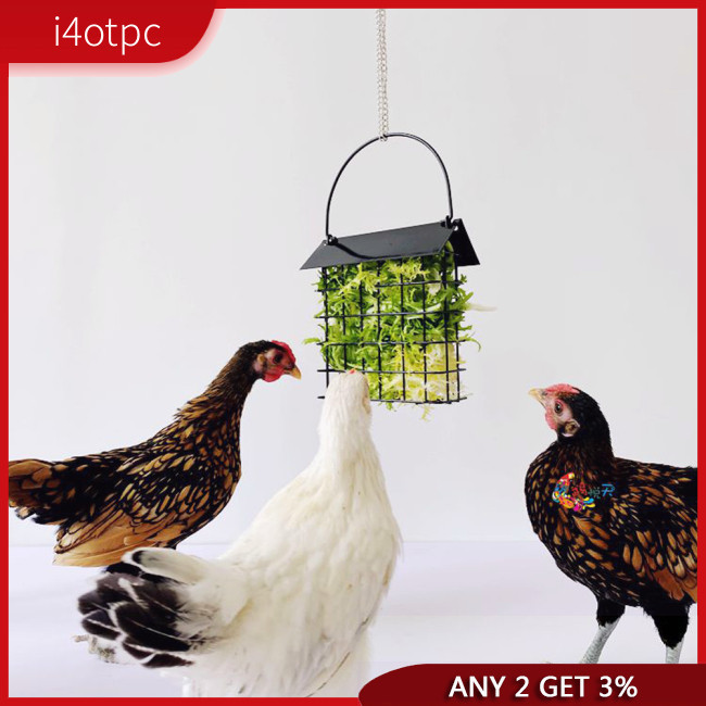 I4otpc ตะกร้าให้อาหารไก่ ผัก ผลไม้ สนุก ตะกร้าให้อาหาร อุปกรณ์ให้อาหาร ของเล่น สําหรับไก่พิราบ ไก่ ไก่ ไก่
