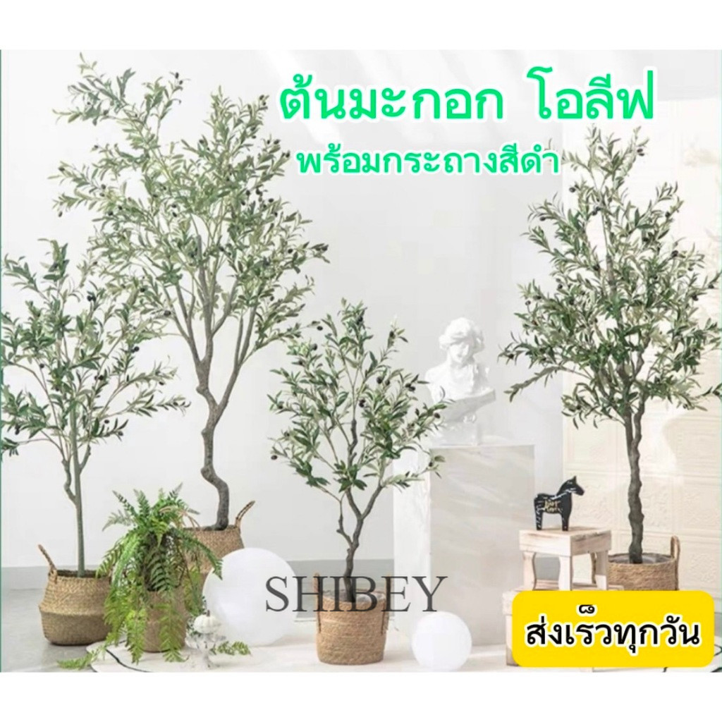 ต้นมะกอกโอลีฟ (พร้อมกระถางดำยกชุด) ต้นไม้ปลอม ต้นไม้แต่งบ้าน Plant(GLS)