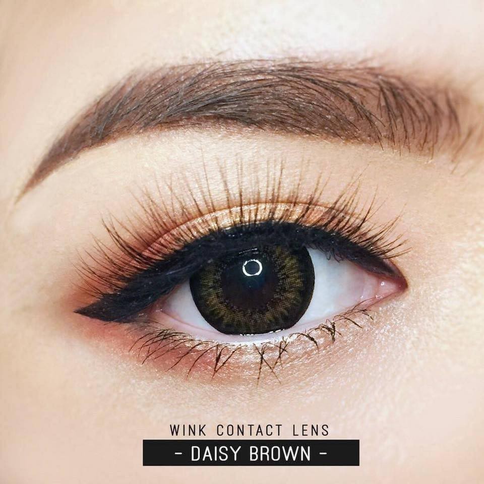 คอนแทคเลนส์(บิ๊กอาย) Daisy Chestnut / Gray (Wink) ลายฮิต ขายดีมาก กรองแสงกันยูวี