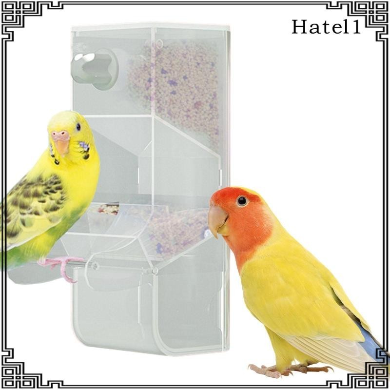 [Hatel] กล่องใส่อาหารนกขมิ้นอัตโนมัติ สําหรับนกขมิ้น นกขมิ้น นกหงส์หยก