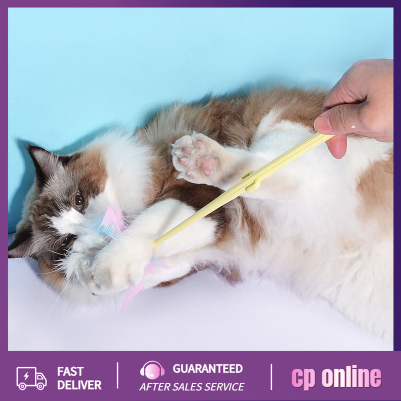 YTL ไม้ล่อแมว คฑานางฟ้า ไม้ตกแมวเจ้าหญิง ไม้ตกแมวฟรุ้งฟริ้ง ของเล่นแมว  Cat toy
