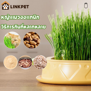 หญ้าแมวออแกนิก ชุดปลูกหญ้าแมว เมล็ดพืช 5 แพ็ค นํากลับมาใช้ให…