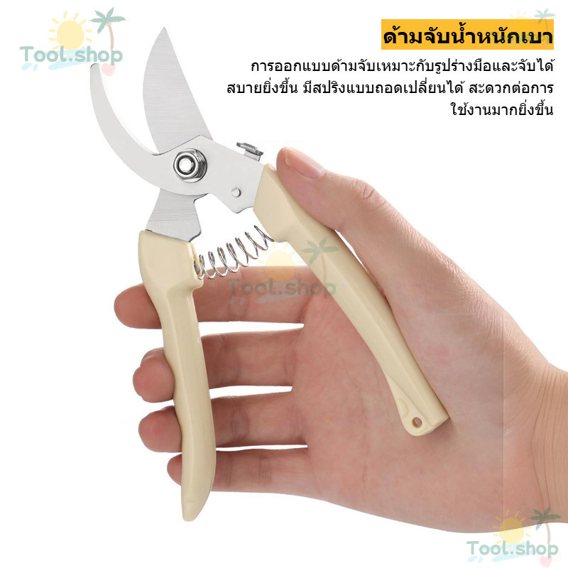 Tool กรรไกรตัดกิ่งไม้ปากโค้งและปากตรง กรรไกรทำสวน กรรไกรแต่งกิ่ง แบบสเตนเลส ด้ามPEอย่างดี
