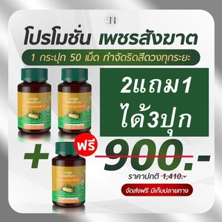 เพชรสังฆาต ริดสีดวงติ่งผลุบโผล่ 1 กระปุก มี 50 แคปซูล เพชรสังฆาต