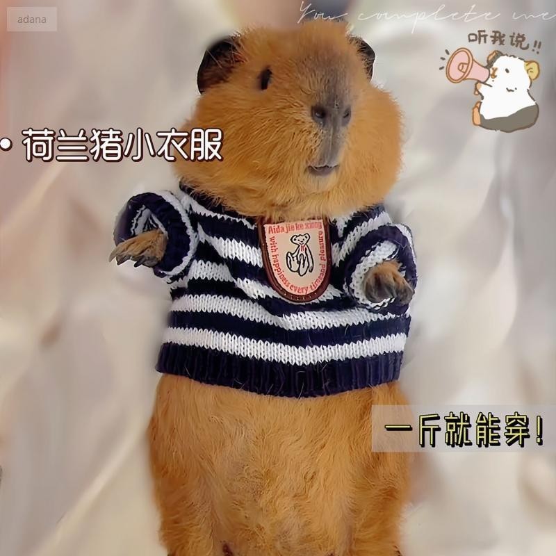 .兰衣服专用小宠物秋冬季保保衣超小号雪纳龙猫松หมูดัตช์เสื้อผ้าเฉพาะสัตว์เลี้ยงขนาดเล็กช่วยให้อบอุ่นในฤดูใบไม้ร่วงและฤดูหนาวadana