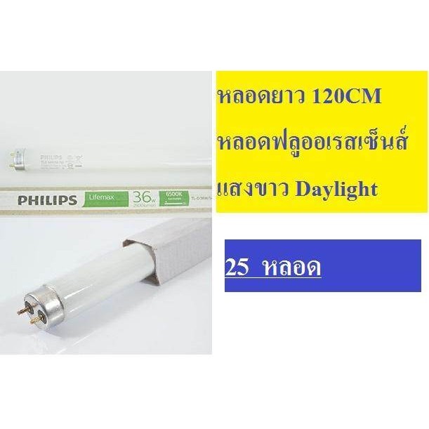 (แพ็คราคาส่ง) หลอดนีออน Philips หลอดฟลูออเรสเซนต์ T8 แสงขาว ยกลัง สั้น หรือ ยาว ส่งฟรี ฟิลลิป์
