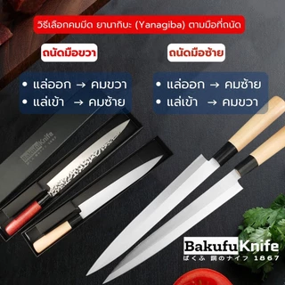 มีดทำซูชิ มีดเชฟ มีดซาซิมิปลา มีดทำครัวในครัวเรือน มีดทำอาหารญี่ปุ่น Kanetsune knife YNGB-01/02