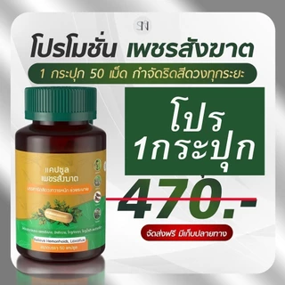 เพชรสังฆาต ริดสีดวงติ่งผลุบโผล่ 1 กระปุก มี 50 แคปซูล เพชรสังฆาต