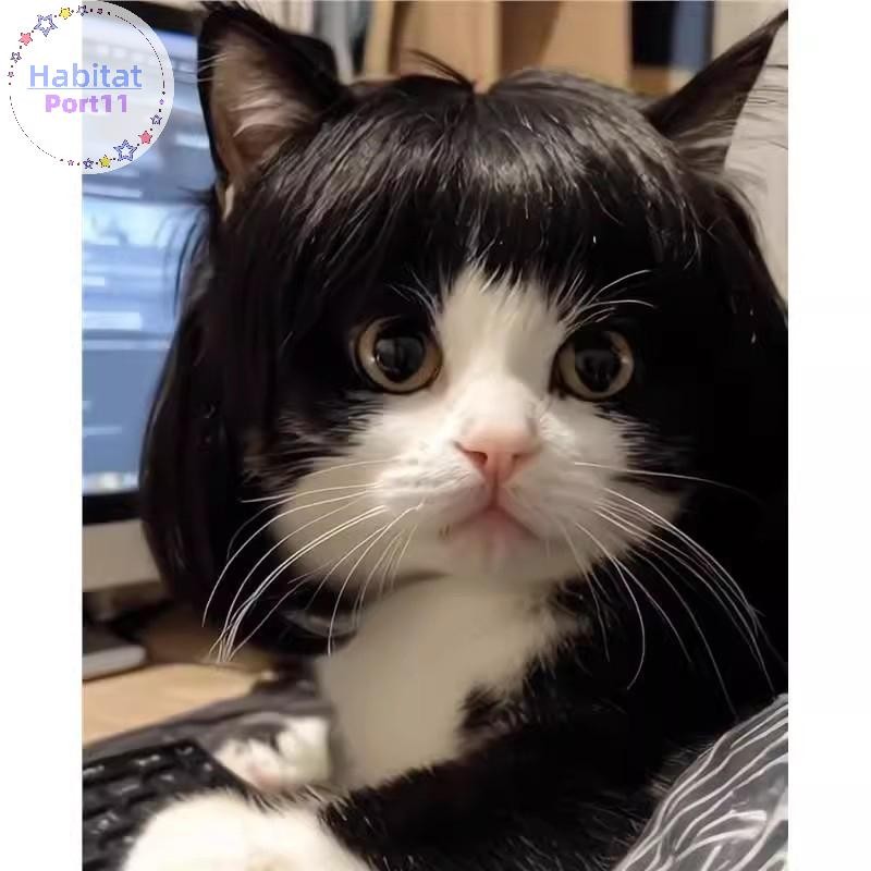 HabitatPort วิกผมตลก Trimmable สัตว์เลี้ยงวิกผมอุปกรณ์วิกผมอุปกรณ์สัตว์เลี้ยง Creative Pet Decor วิกผมบางแสงเรียบวิกผมอุปกรณ์สัตว์เลี้ยง th