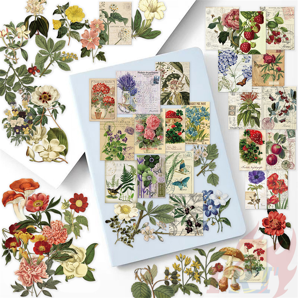 ❉ สติ๊กเกอร์ PET ศิลปะดอกไม้ย้อนยุค ❉ 50 ชิ้น/เซ็ต DIY แฟชั่นสติ๊กเกอร์กันน้ํา Doodle สติ๊กเกอร์ - รูปที่ 5