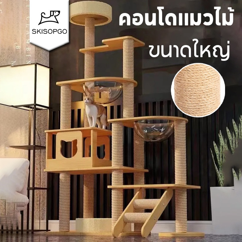 ที่นอนแมวดีไซน์สวย