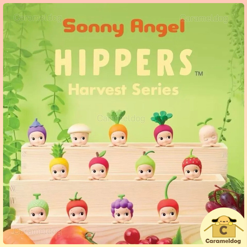 📮 พร้อมส่ง 📮 Sonny Angel Hippers 🔥 Rare items 🔥