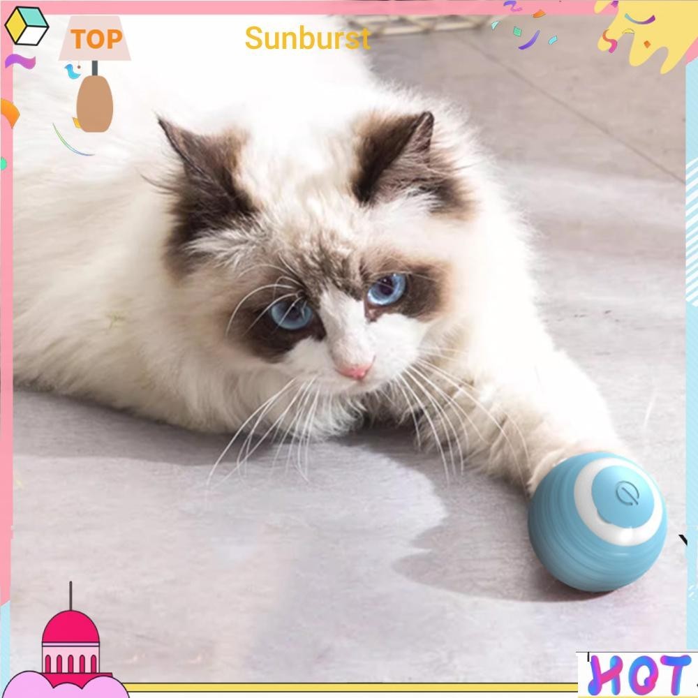 ของเล่นแมว แบบโต้ตอบ พร้อมไฟ LED [Sunburst11.th]