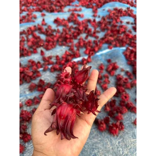 กระเจี๊ยบแดงแห้ง เกรดพรีเมี่ยม ครึ่งกิโล-1กิโลกรัม ของใหม่สีแดงสวย กระเจี๊ยบสมุนไพร ออร์แกนิค