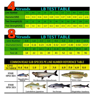 GHOTDA 1000/500/300/100M 8 Strands 4 Strands Braid PE สายตกปลา Smooth Multifilament สายตกปลา 8/4 สานตกปลาสายถัก tali mancing