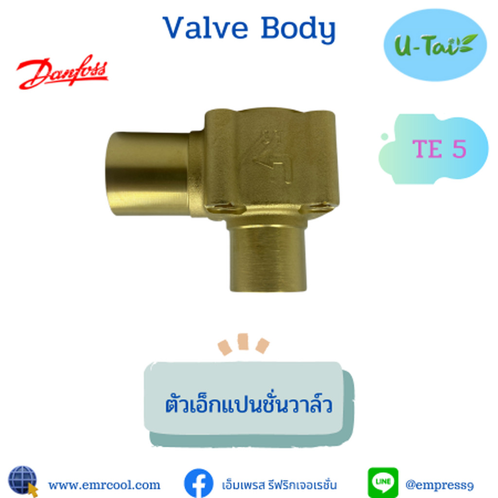 DANFOSS Valves Body TE 5