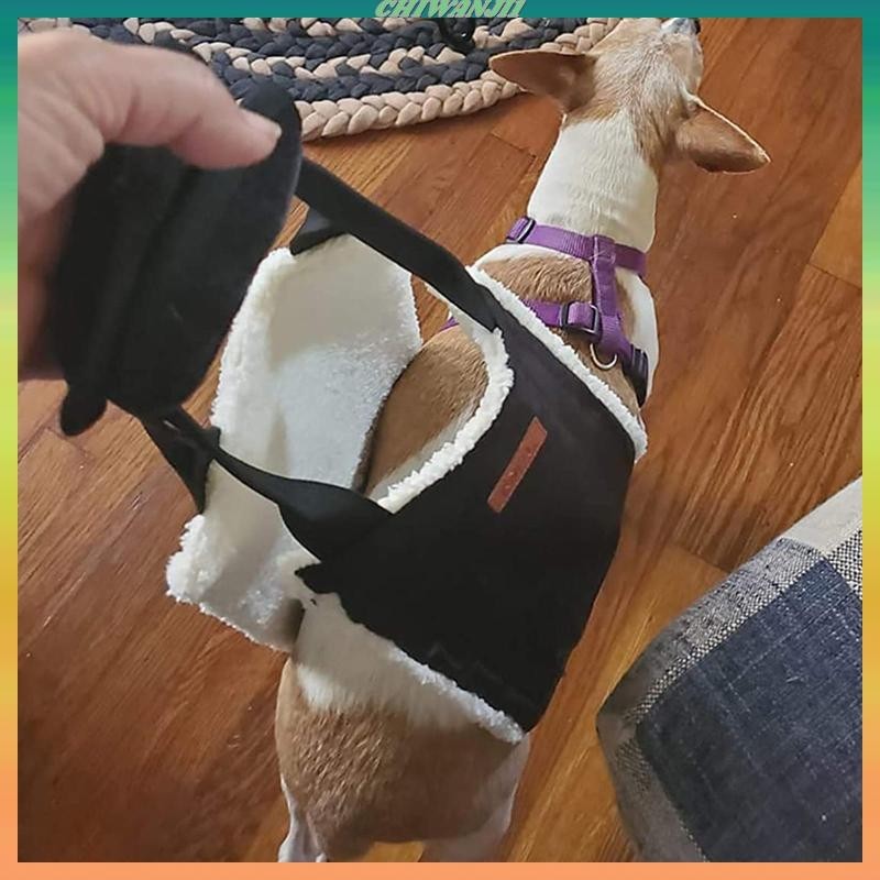 [Chiwanji1] สายรัดพยุงหลัง แบบนิ่ม สําหรับสัตว์เลี้ยง สุนัขพิการ ผู้สูงอายุ