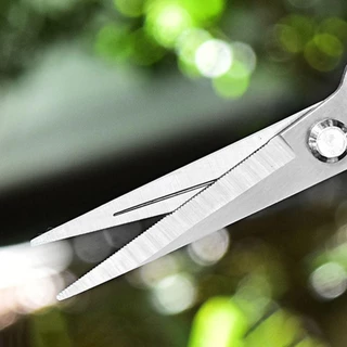 DAPHNE 1 ชิ้นสวนกรรไกร,มือ Pruner Florist กรรไกรเครื่องมือตัดแต่งกิ่งต้นไม้เฉือน,ตรงสวน Leaf Trimmer Micro-Tip ตัดแต่งกิ่ง Snips