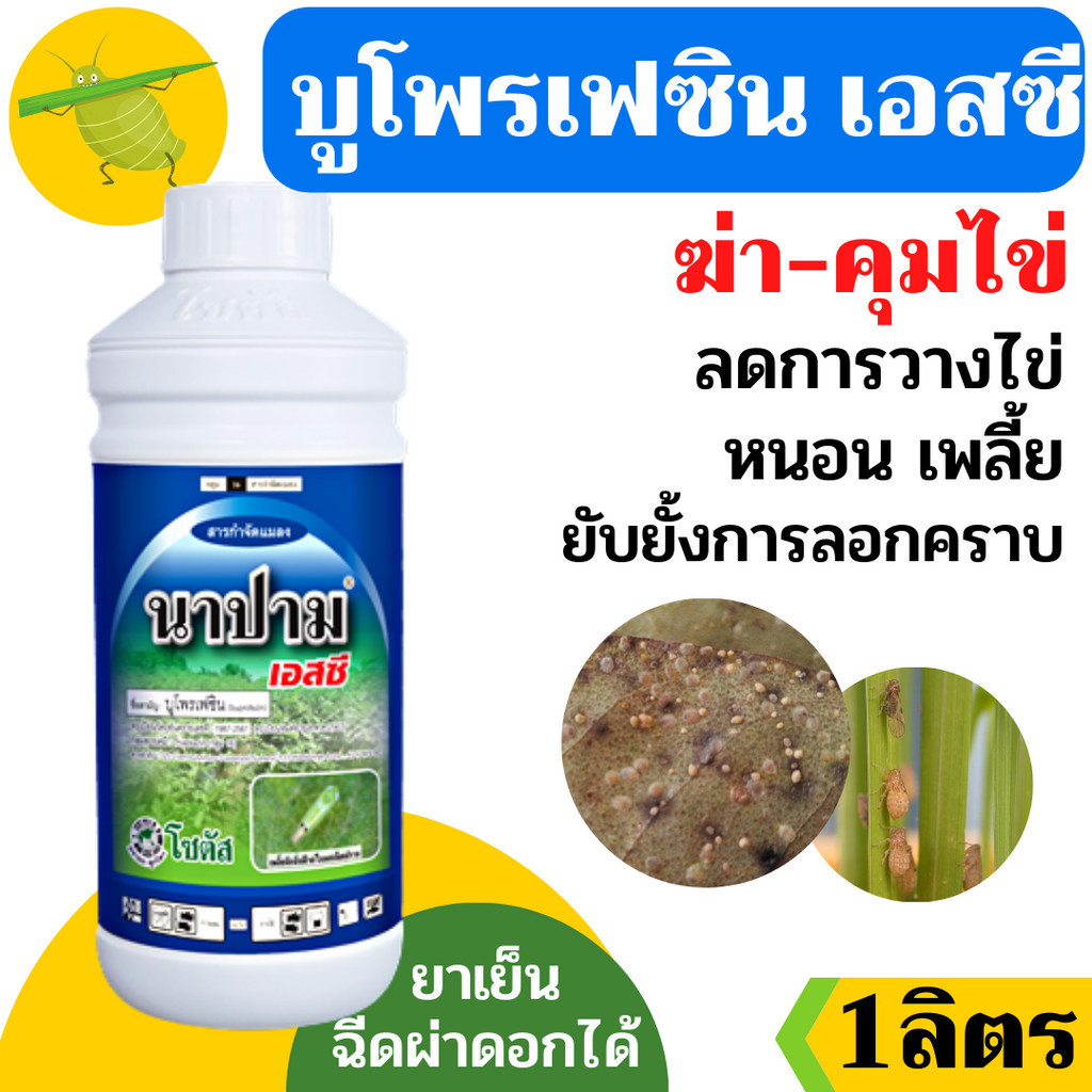 [โซตัส] นาปาม เอสซี ขนาด 1 ลิตร (บูโพรเฟซิน40 % SC)  ยับยั้งการลอกคราบตัวอ่อน ควบคุมการฟักไข่ ลดการวางไข่