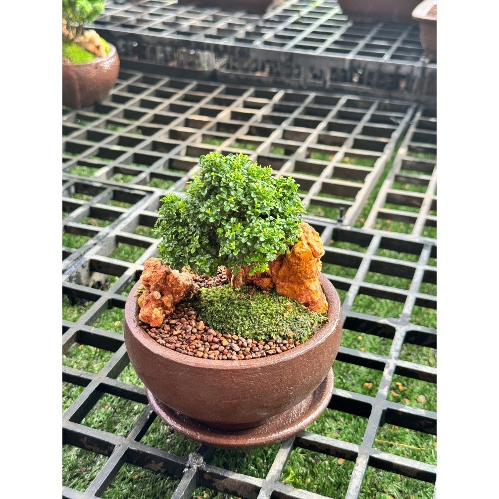 มุมมอง 3