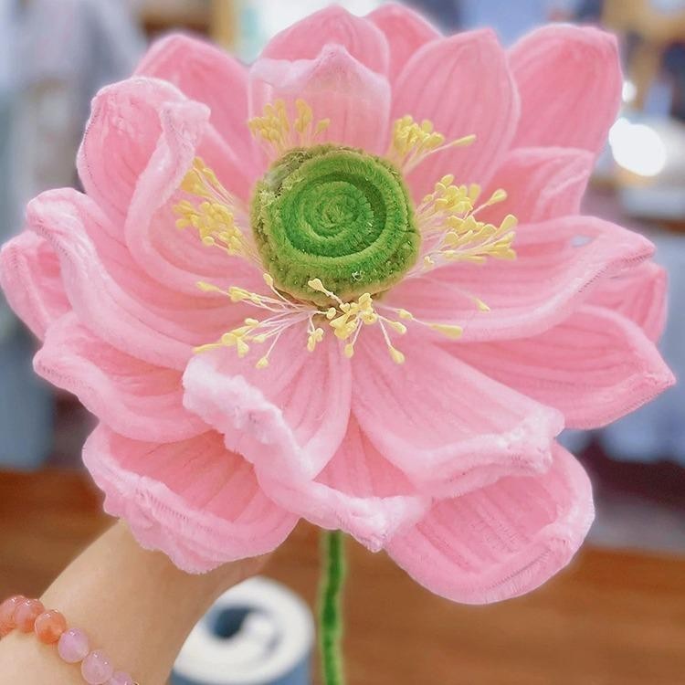 รูปภาพ 6