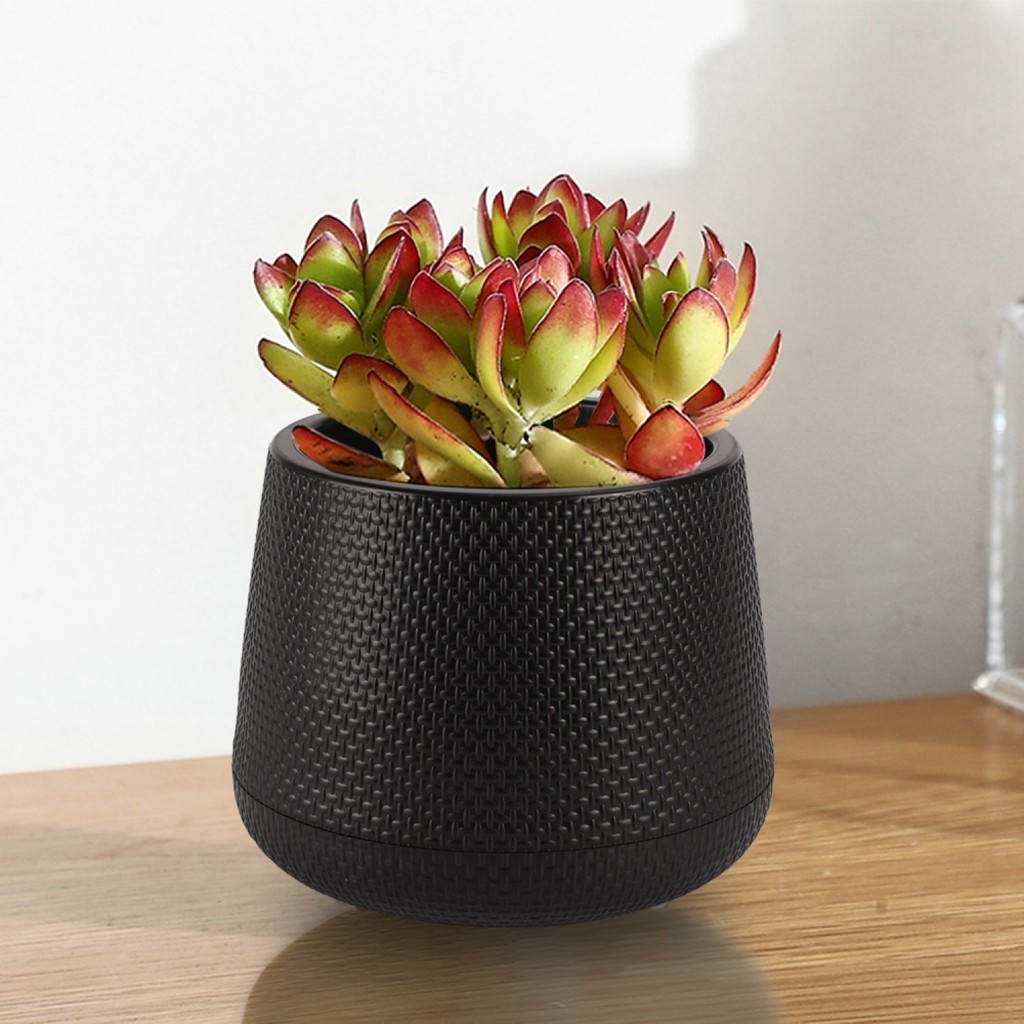 LOCAL789 Tree O กระถางต้นไม้พลาสติก รุ่น 6KD2212-BK ขนาด S สีดำ ร้านอยู่ในไทย