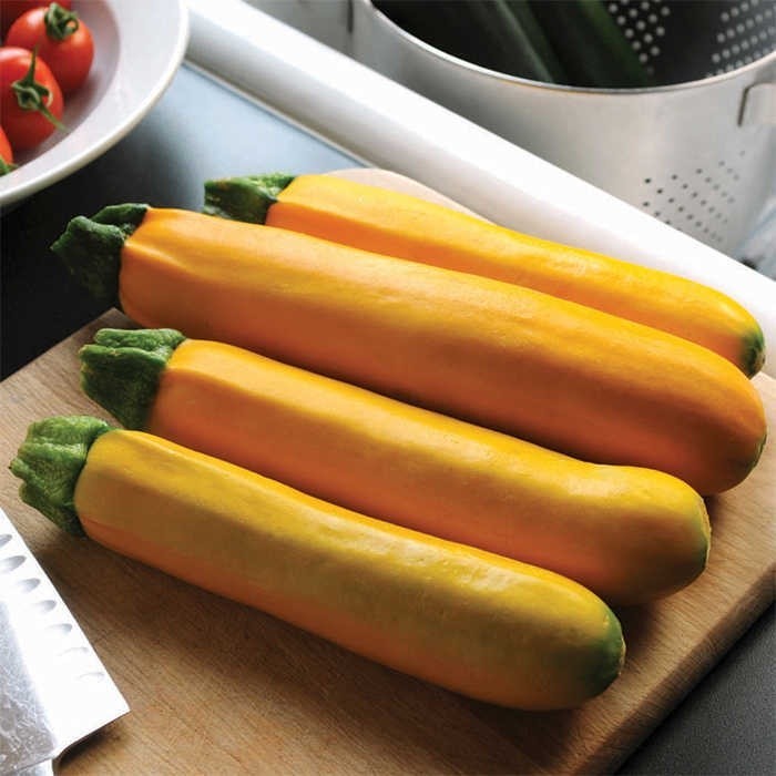 เมล็ดพันธุ์ ซูกินีสีทอง yellow zucchini  ซูกินี เหลือง เมล็ดนำเข้า 4-30 เมล็ด (ซื้อ 10 เเถม 1 คละได้) - รูปที่ 7