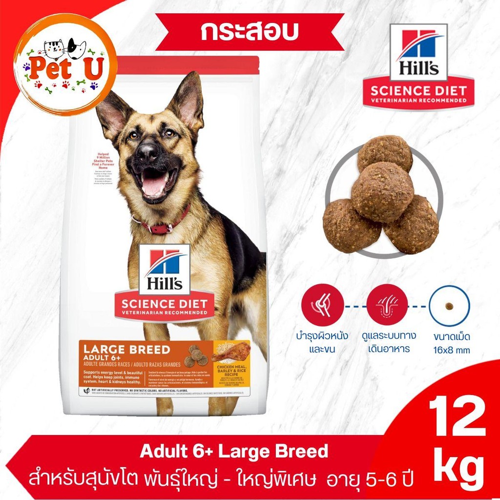 (Dog) Hill's Science Diet Puppy Large Breed 15kg อาหารลูกสุนัข พันธุ์ใหญ่ อายุในช่วง 1ปี