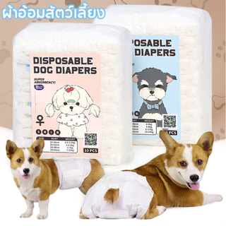 🐶พร้อมส่ง😻ผ้าอ้อมสัตว์เลี้ยง สำหรับสุนัขและแมว S/M/L/XL ผ้าอ้อมสุนัขเพศผู้ ผ้าอ้อมแมว