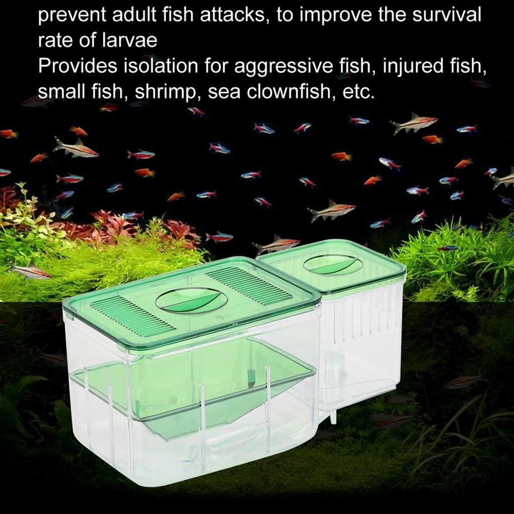 Fishi Aquarium Fish Tanks Breeding Box ปลาน้อย Double‑Layer Isolation Incubator สำหรับกุ้งปลาขนาดเล็กที่ได้รับบาดเจ็บ