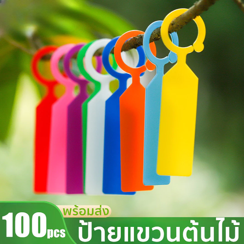 (พร้อมส่ง) ป้ายชื่อต้นไม้ แพ็ค 100 ชิ้น เนื้อหนา ป้ายชื่อต้นไม้แบบแขวน ตกแต่งสวน