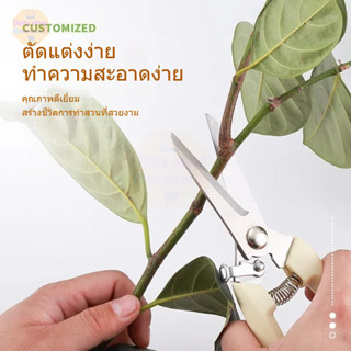 Daily กรรไกรตัดกิ่งไม้สแตนเลสด้ามขาว กรรไกรทำสวน กรรไกรสแตนเ…