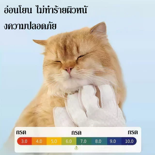 ถุงมือแบบใช้แล้วทิ้งสําหรับสัตว์เลี้ยง ถุงมืออาบน้ําสุนัข ทําความสะอาดและเปื้อน ทําให้ผมเรียบเนียน