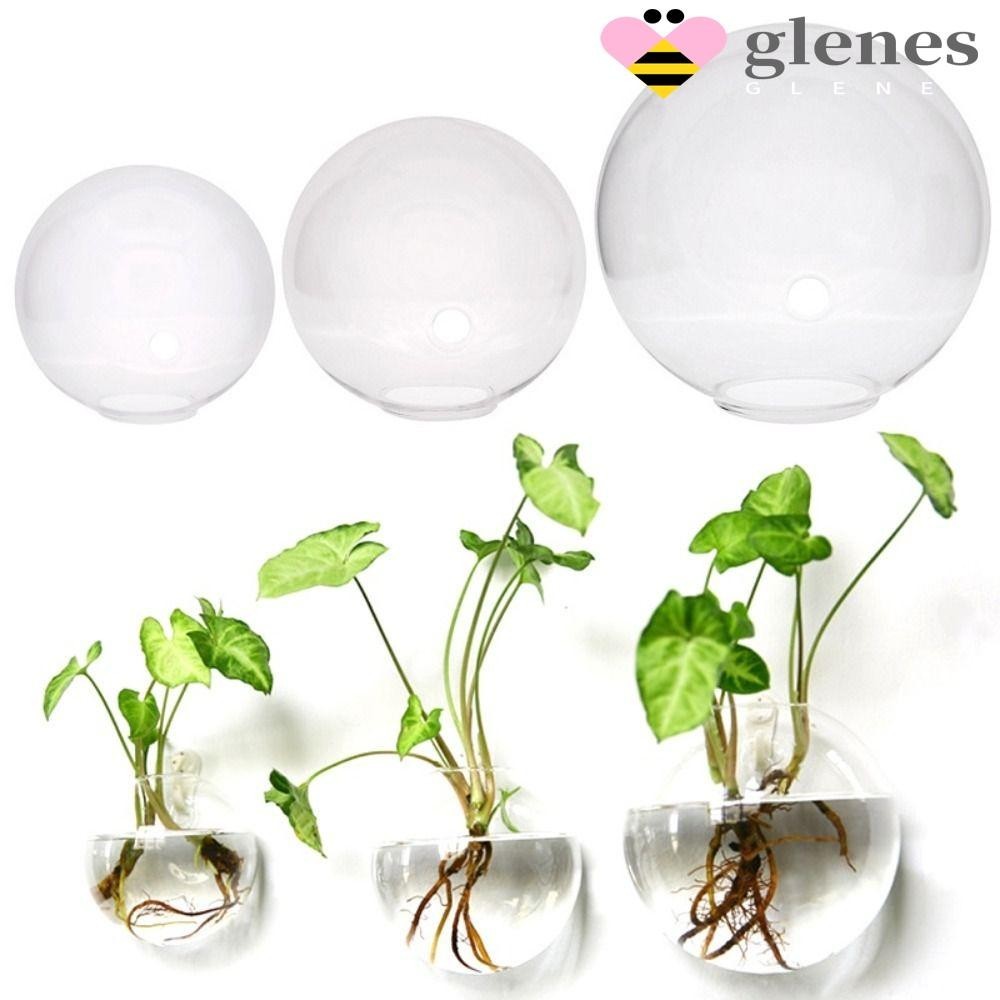 Glenes แจกันแก้ว แบบติดผนัง เป็นมิตรกับสิ่งแวดล้อม สําหรับปลูกต้นไม้ ดอกไม้ ตู้ปลา