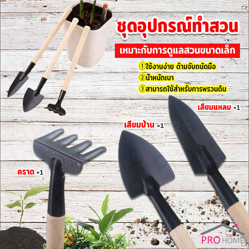 ชุดมินิ จำนวน 3ชิ้น ชุดเซตทำสวน มินิชุดปลูกต้นไม้จิ๋ว อุปกรณ์ทำสวนจิ๋ว อุปกรณ์ทำสวน เครื่องมือทำสวน Mini Gardening tools