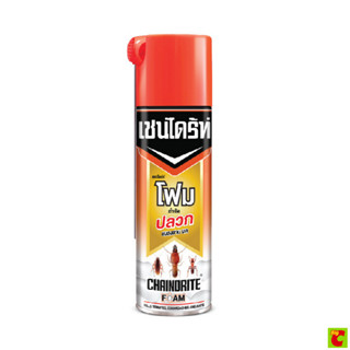 Chaindrite เชนไดร้ท์ โฟมกำจัดปลวก 250 ก.