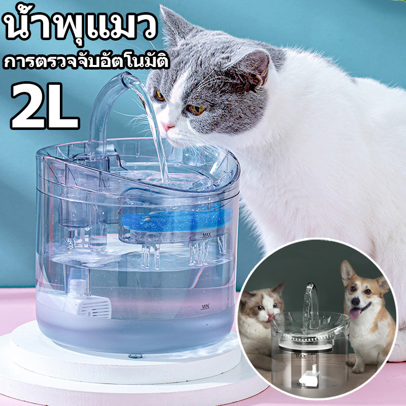 พร้อมส่ง น้ำพุแมว 2L น้ำพุสัตว์เลี้ยง มีใส่กรองน้ำ กรองน้ำสำหรับสัตว์เลี้ยง แบบใส น้ำพุแมวสัตว์เลี้ยง น้ำพุน้องหมา
