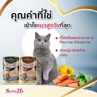 Nekko อาหารแมวเปียก เน็กโกะ แมวสูงวัย ขนาด 70gx48 ซอง ยกลัง คุ้มราคา
