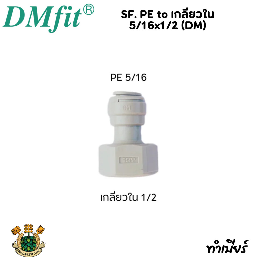 SF. PE to เกลียวใน 5/16x1/2 (DM)