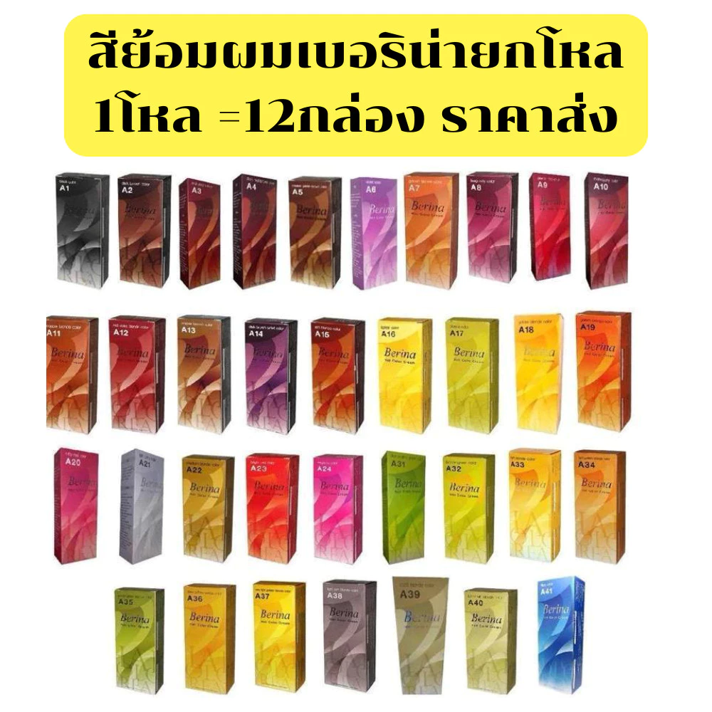 (ยกโหลx12 กล่อง) Berinaเบอริน่า ครีมเปลี่ยนสีผมสีย้อมผมปิดผมขาวปิดหงอกสีแฟชั่น